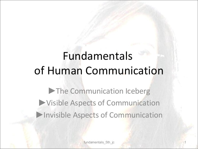 fundamentals of human communication pdf